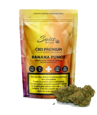 Banana Punch CBD Blüten Outdoor - 11g