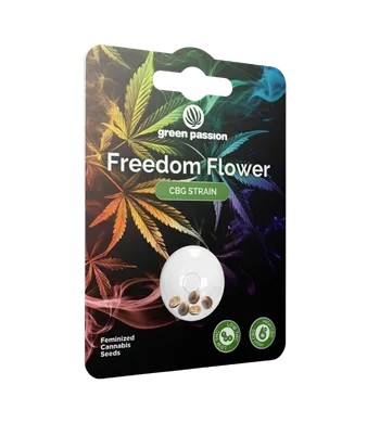 Freedom Flower CBG Samen Feminisiert - 5pc