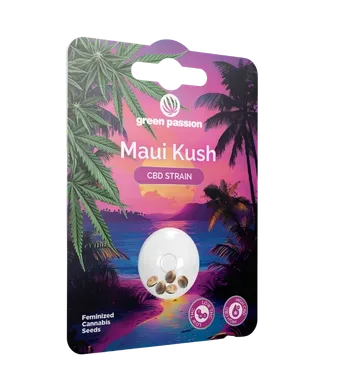Maui Kush CBD Samen Feminisiert - 5pc