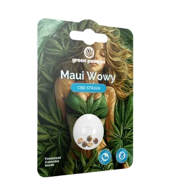 Maui Wowy CBD Samen Feminisiert - 5pc
