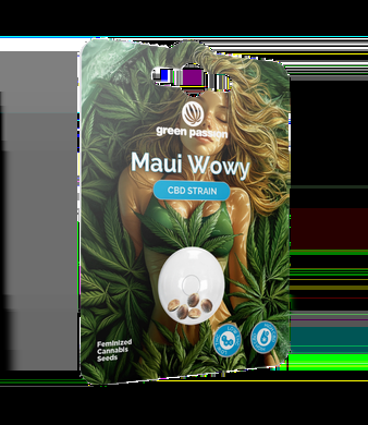 Maui Wowy CBD Samen Feminisiert - 5pc