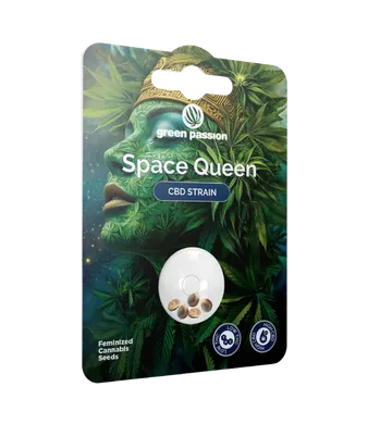 Space Queen CBD Samen Feminisiert - 3pc