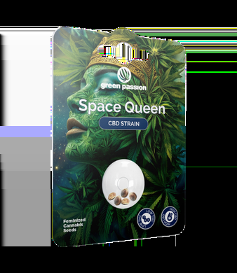 Space Queen CBD Samen Feminisiert - 3pc