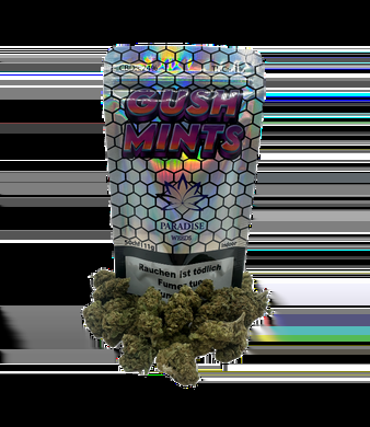 Gush Mints CBD Blüten Indoor - 5g