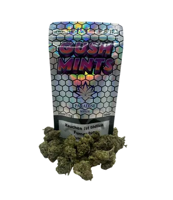 Gush Mints CBD Blüten Indoor - 11g