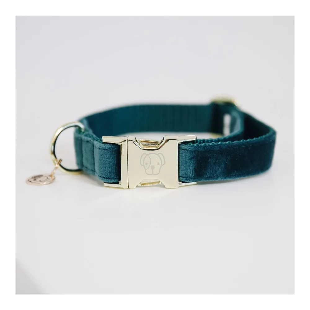 Kentucky Dogwear Hundehalsband Velvet - emerald