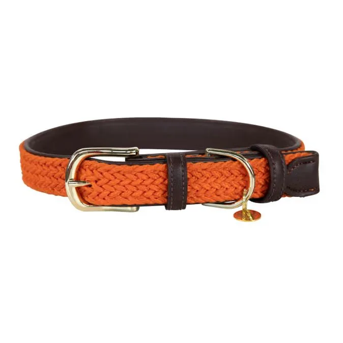 Kentucky Dogwear Hundehalsband Nylon geflochten