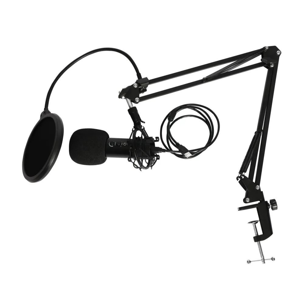 Podcast Set Studiomikrofon mit Halterung
