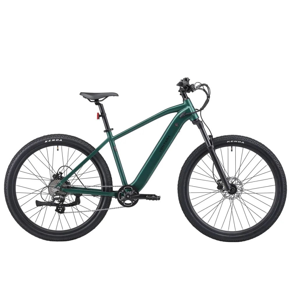 E-Bike Mountainbike 29