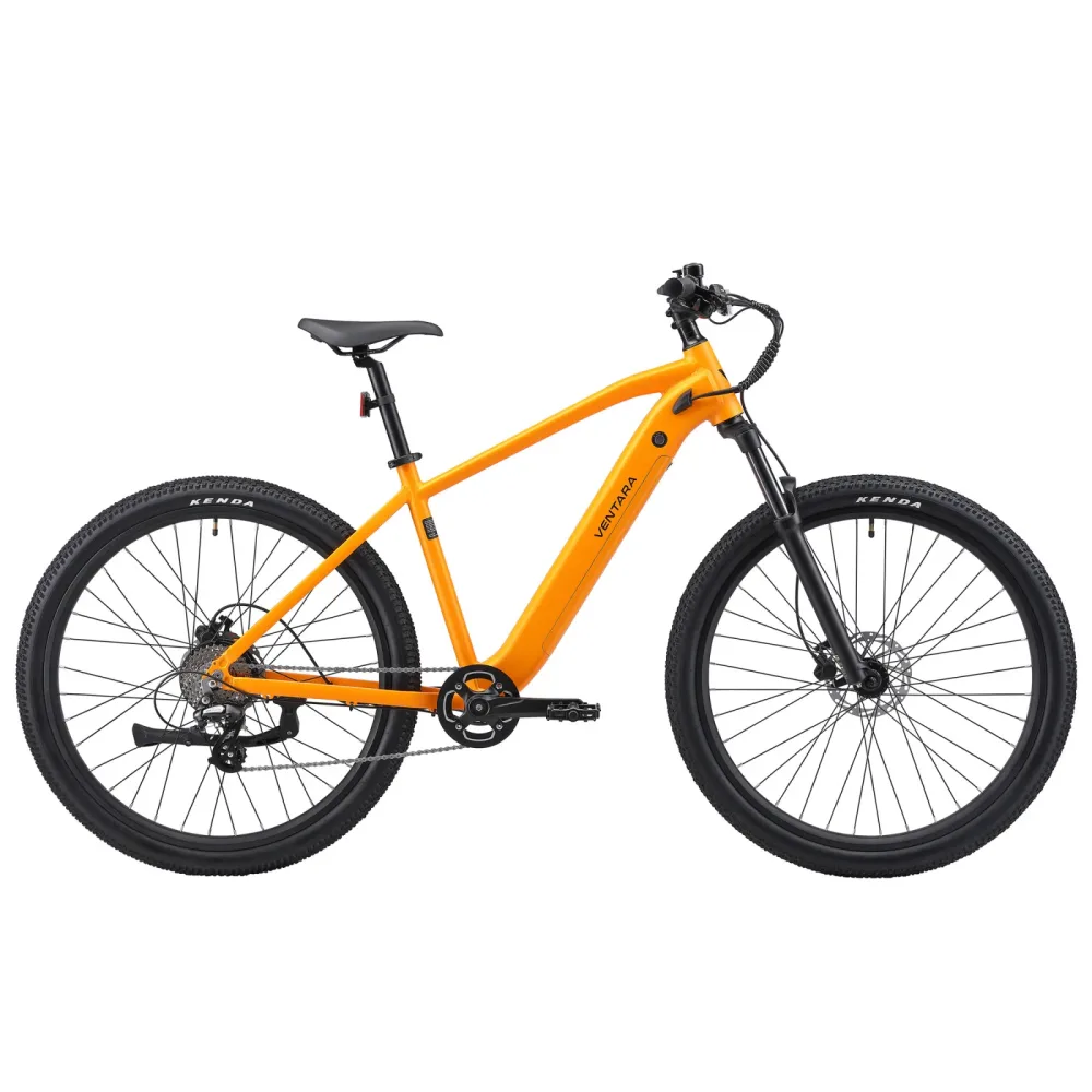 E-Bike Mountainbike 29