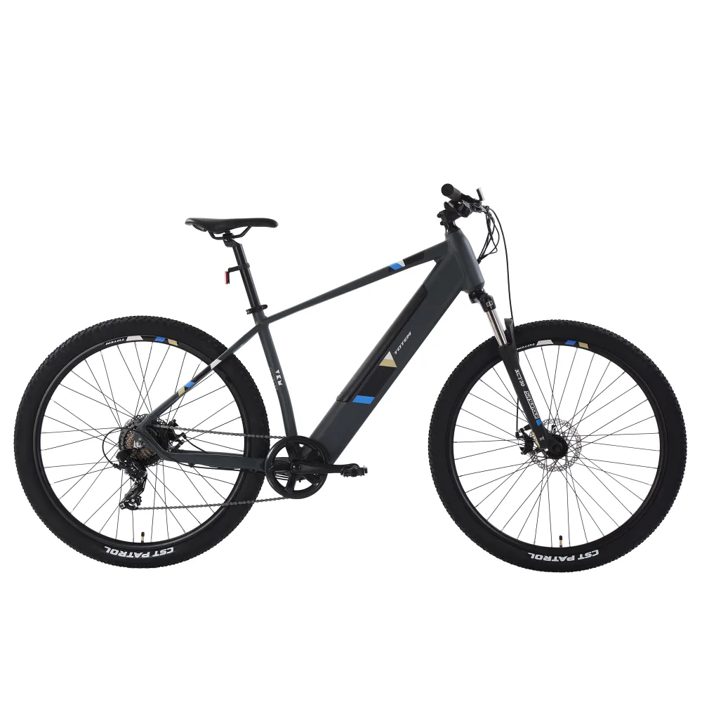 E-Bike Mountainbike 29