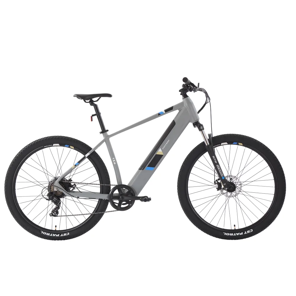 E-Bike Mountainbike 29
