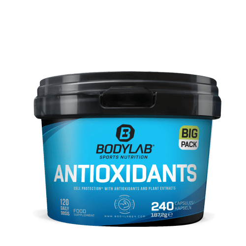 BIG Pack Antioxidants (240 Kapseln)