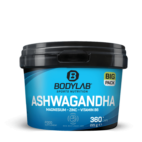 BIG PACK Ashwagandha + Magnesium - Zinc - Vitamin B6 (360 Kapseln)