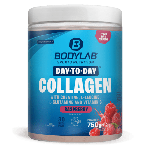 Day to Day Collagen - 750g - Raspberry