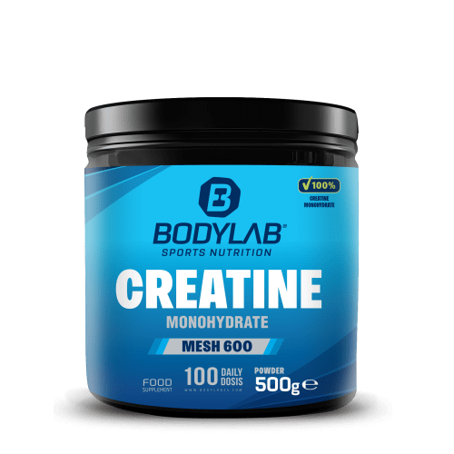 Creatine Monohydrate MESH 600 (500g)