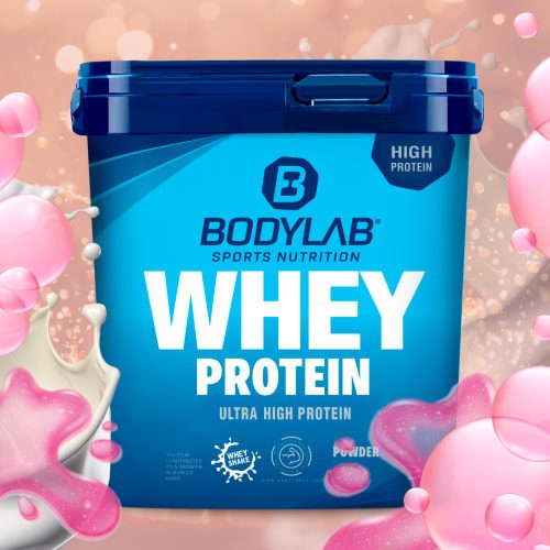 BL Whey Protein + Instant Rice Pudding + Shaker