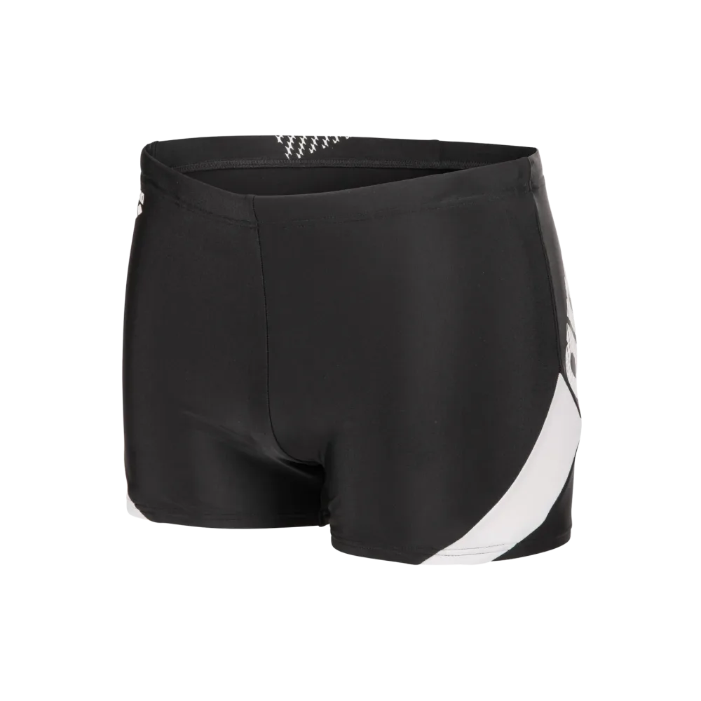 Arena M Arena Stripeflow Swim Short Swim Short Herren, schwarz, Grösse: D 5