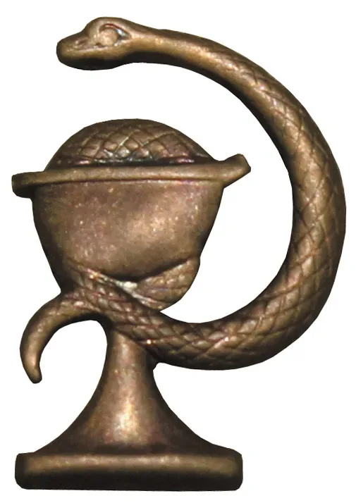 CZ/SK Metallabzeichen, bronze, 