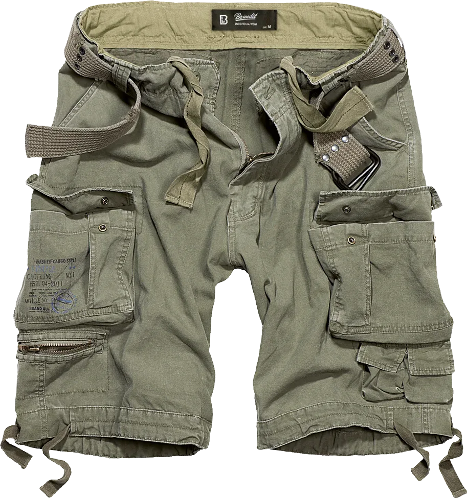 Brandit - Savage Vintage Shorts olive