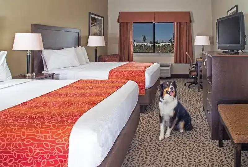 Gray Wolf Inn & Suites