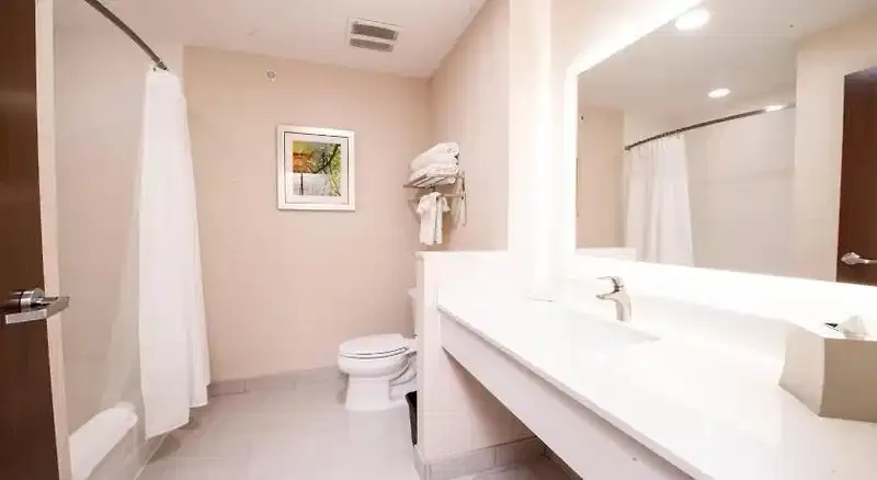 Fairfield by Marriott Inn & Suites Dallas Plano North
