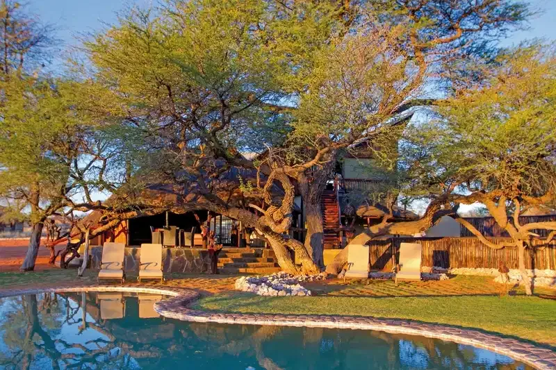 Intu Afrika Camelthorn Lodge