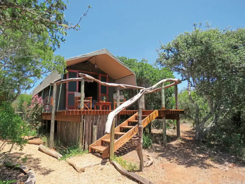 Amakhala Private Game Reserve