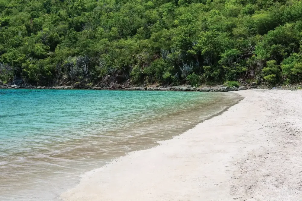The Westin St. John Resort Villas