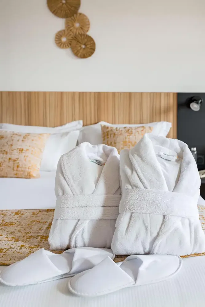 Quality Suites Lyon 7 Lodge