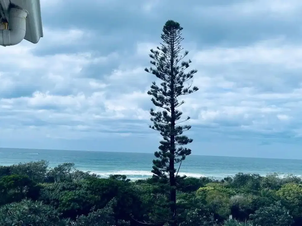 Horizons At Peregian