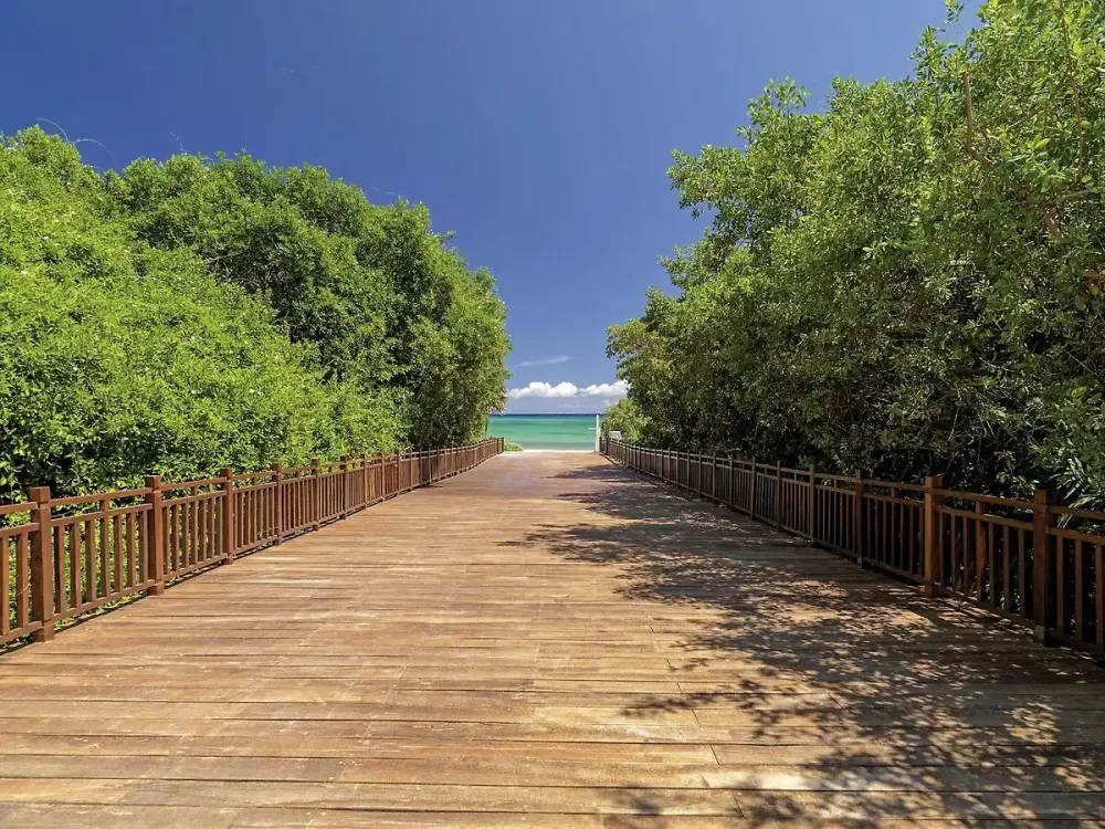 Paradisus La Perla