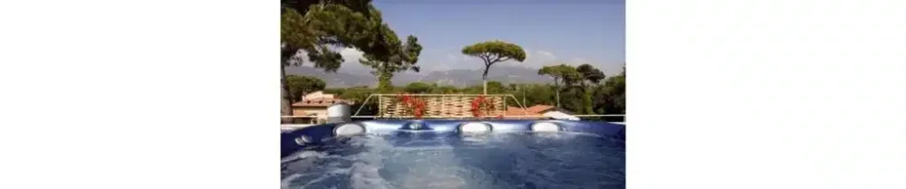 Viscardo