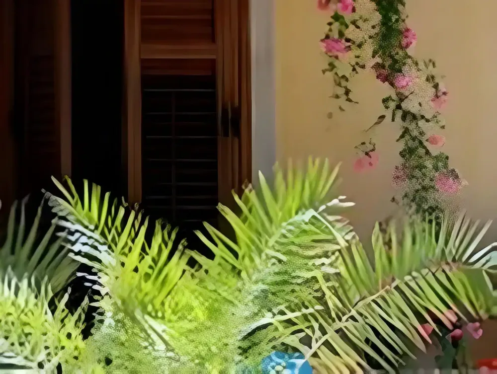 Oasi da Paolo