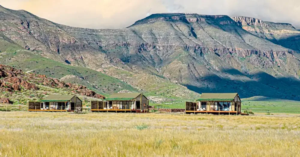 The Elegant Desert Camp