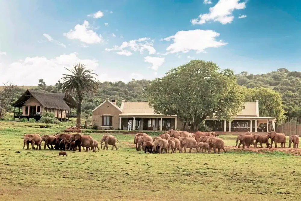 Gorah Elephant Camp