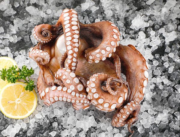 Pulpo ohne Kopf, ca. 1.5kg