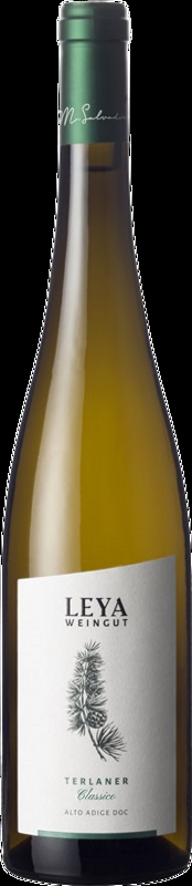 Terlano Classico Terlaner DOC Weingut Leya - 2023 - Trentino, Italien