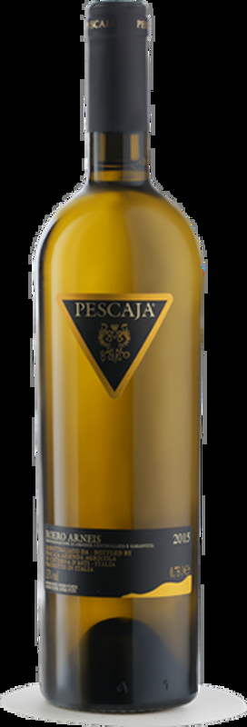 Roero Arneis DOCG Azienda Agricola Pescaja - 2025 - Piemont, Italien