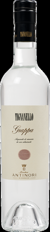 Grappa Tignanello Antinori - Toskana, Italien