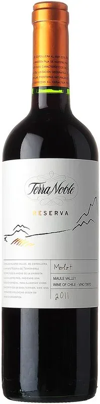 Merlot Riserva Terra Noble - 2021 - Valle Central, Chile