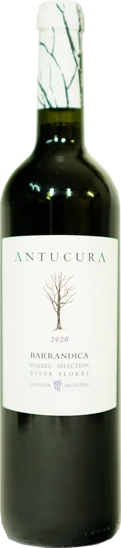 Barrandica Malbec Vista Flores Antucura - 2020 - Mendoza, Argentinien