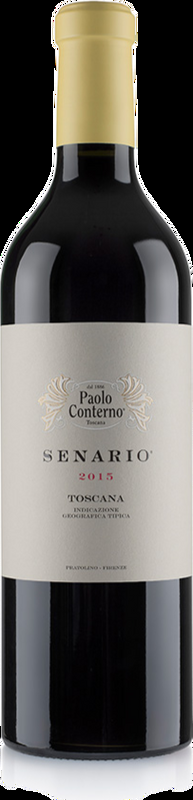 Senario Paolo Conterno - 2016 - Toskana, Italien