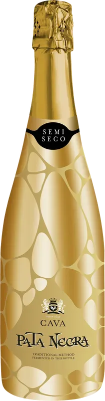 Cava Pata Negra Semi seco Garcia Carrion - Katalonien, Spanien