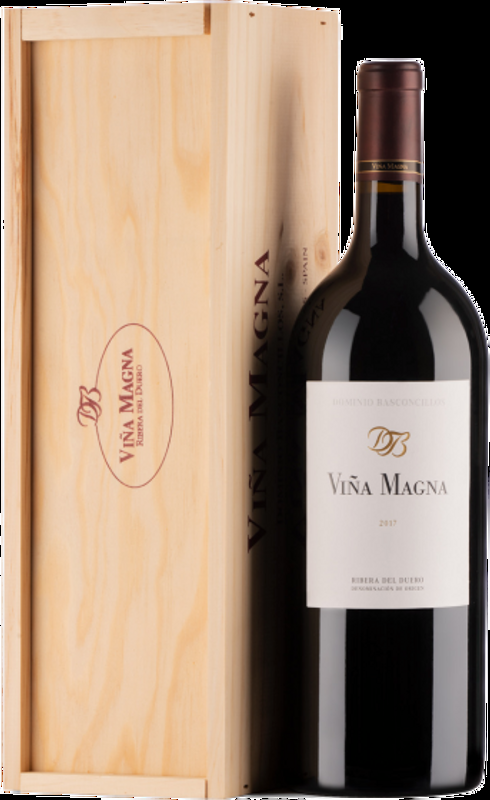 Vina Magna Ribera Del Duero Crianza DOP Dominio Basconcillos - 2010 - Duero-Tal (Castilla y Leon), Spanien