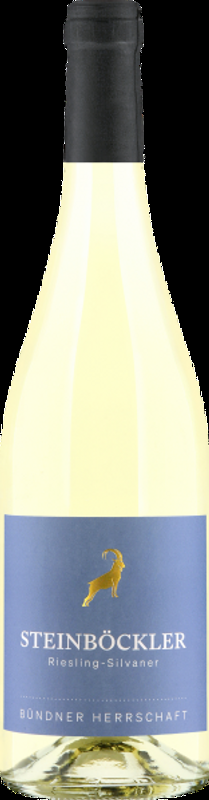 Steinböckler Riesling-Silvaner Bündner Herrschaft AOC Graubünden Rutishauser-Divino - 2025 - Bündner Herrschaft, Schweiz