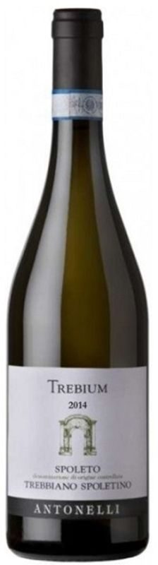 Trebium Trebbiano Spoletino DOC Antonelli - 2024 - Umbrien, Italien