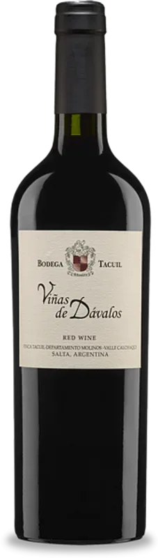 Viñas de Dávalos Valle Calchaqui Salta Bodega Tacuil - 2020 - Salta, Argentinien