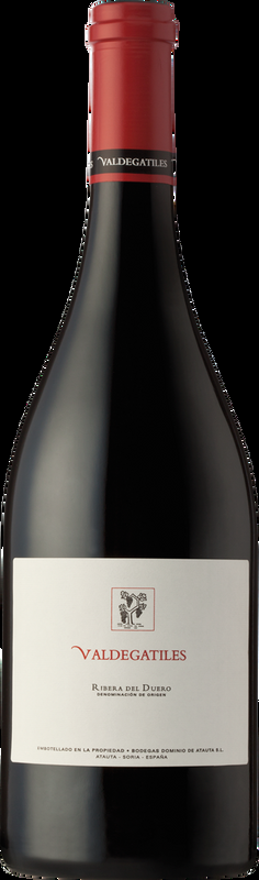 Valdegatiles DO Dominio de Atauta - 2016 - Duero-Tal (Castilla y Leon), Spanien