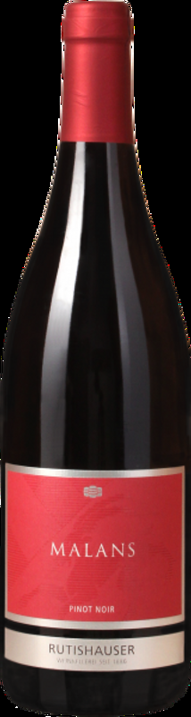 Pinot Noir Malans AOC Graubünden Cicero - 2024 - Bündner Herrschaft, Schweiz